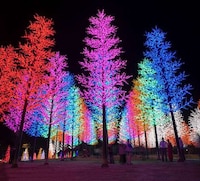 LED Theme Parks Image 8