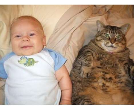 30 Looks at Fat Kids and Fat Pets