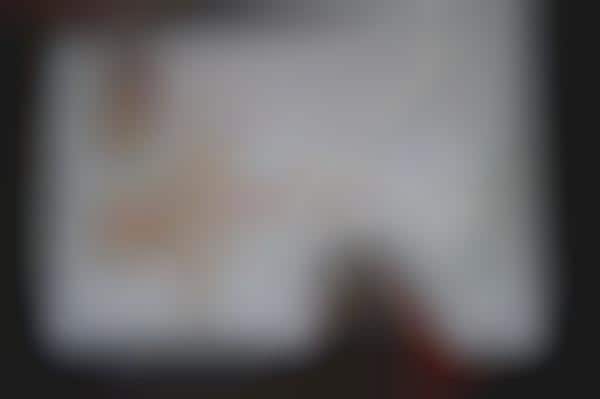 Photo-Flipping Technology