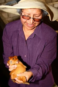 Rodent-Run Power Image 7