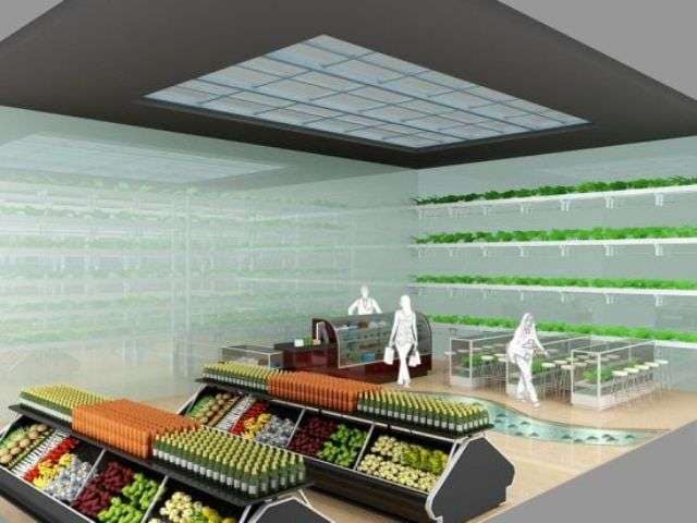 In-Store Gardens