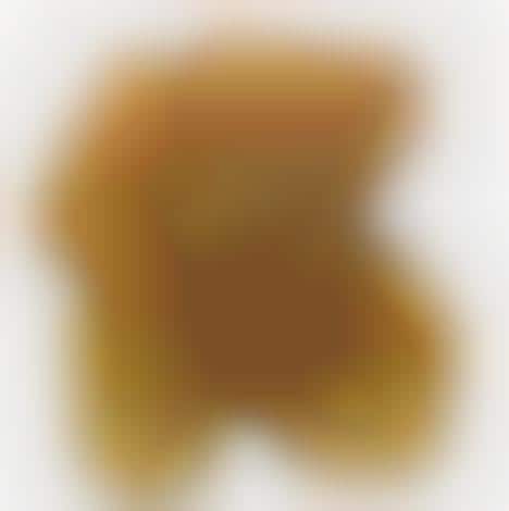 Conjoined Stuffed Animals