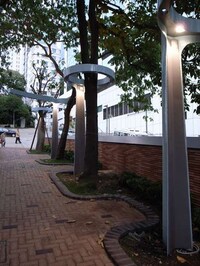 Tree-Encircling Lights Image 3