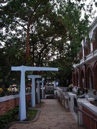 Tree-Encircling Lights Image 4