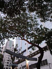 Tree-Encircling Lights Image 6