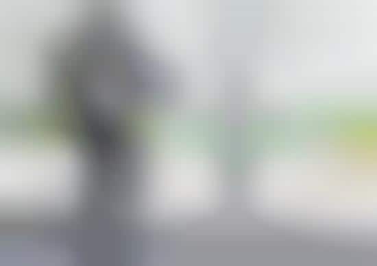 Living Robot Photography