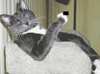 Epic GIF Medleys Image 8