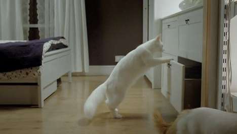 Adorable Catvertising