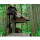 Fairytale Tree Houses Image 4