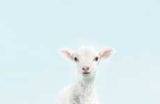 Adorable Animal Advertising