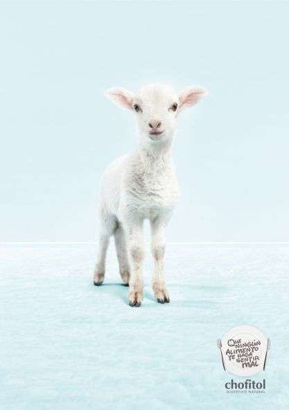 Adorable Animal Advertising