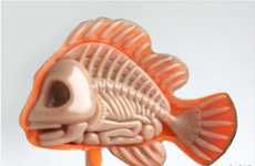 Cartoon Fish Anatomy