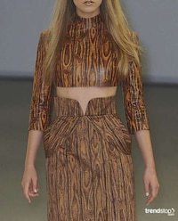 Old-School Wood Veneers Image 6
