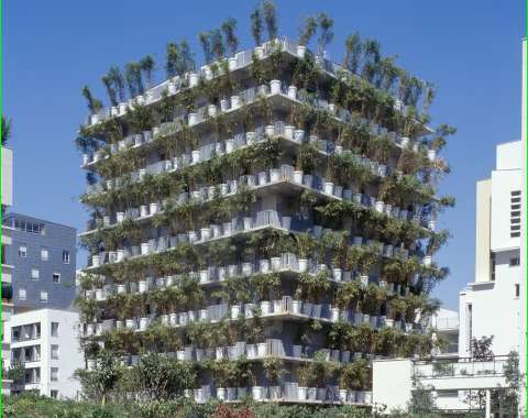 Vertical Condo Gardens