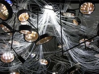 Evolving Microbe Fixtures Image 2