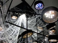 Evolving Microbe Fixtures Image 3
