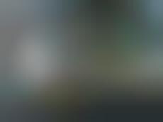 Solarized Glass Homes : The Mission House