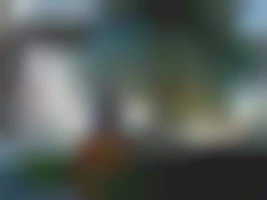 50 Tantalizing Transparent Havens