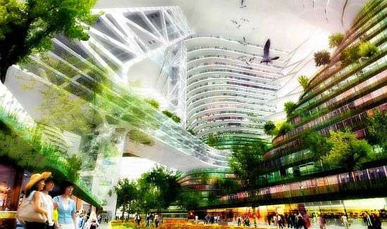 Skyscraper Forests Image 2