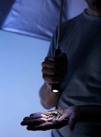 Twinkling Parasols Image 3