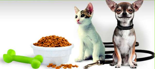 Delivery Dog Food