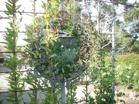 Organic Industrial Designs Image 7