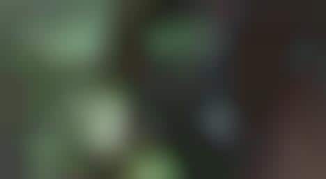 Communicating Plant Life