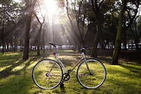 Sustainable Bark Bikes Image 8
