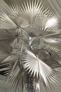 Futuristic Forrestry Image 5