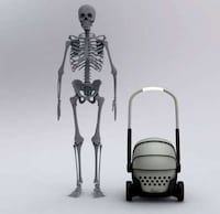Sleek Pet Carriages Image 8
