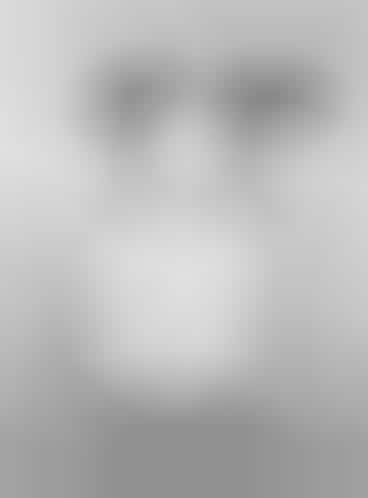 Strange Siamese Urinals