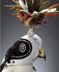 Bejeweled Avian Accessories Image 3
