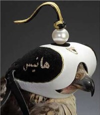 Bejeweled Avian Accessories Image 4