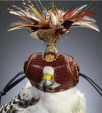 Bejeweled Avian Accessories Image 5