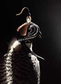 Bejeweled Avian Accessories Image 6
