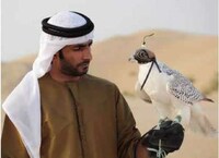 Bejeweled Avian Accessories Image 7