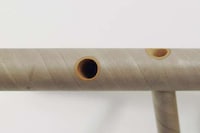 Tube-Legged Seating Image 5