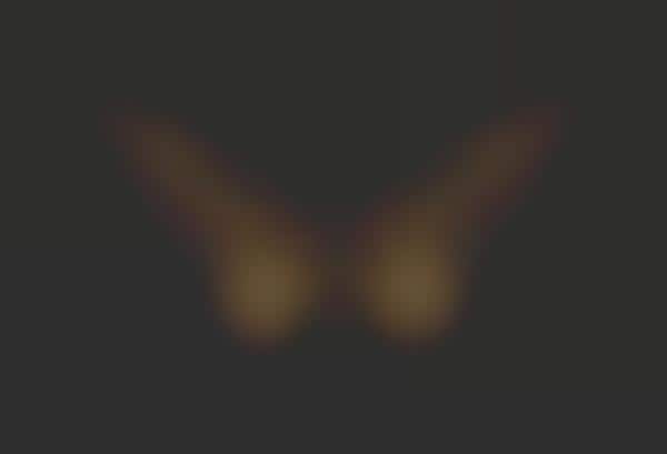 Butterfly-Winged Beauties