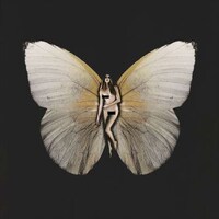 Butterfly-Winged Beauties Image 4