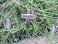Glass Garden Signs Image 2