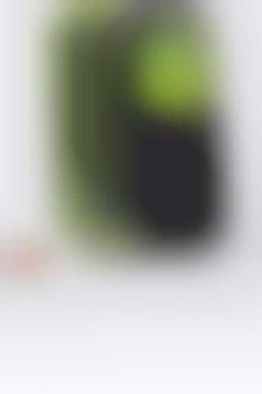 Affordable Multimedia Phones