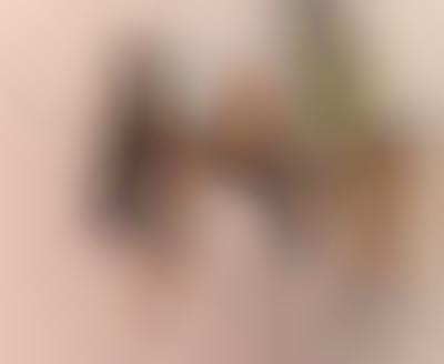Stylish Courtroom Illustrations