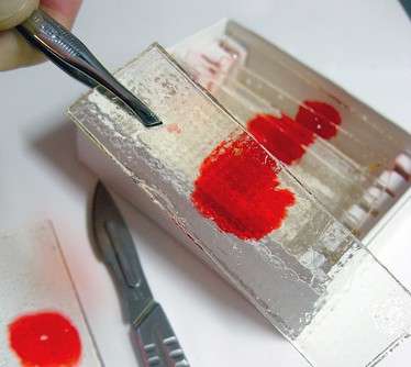 Gruesome DIY Goodies