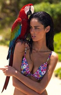 Pet Parrot Lookbooks Image 8