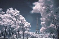 Soft Parisian Streetography Image 2