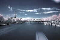 Soft Parisian Streetography Image 5