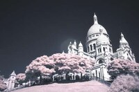 Soft Parisian Streetography Image 7