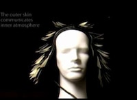 Porcupine Quill Headsets Image 4