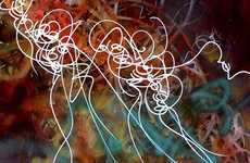 Urban Graffiti Artworks