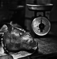 Poignant Cultural Portraits Image 5